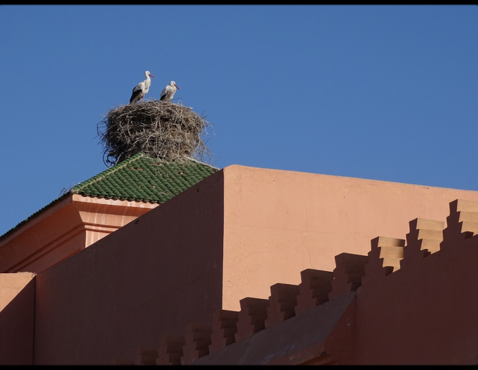 School Ben Youssef