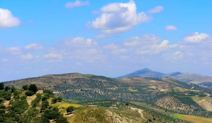 Album photo Karmet Ben Salem