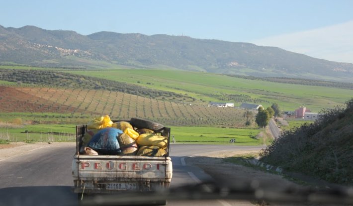 Album photo Ras Tabouda