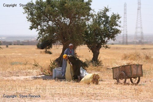 Album photo Oulad Dahou