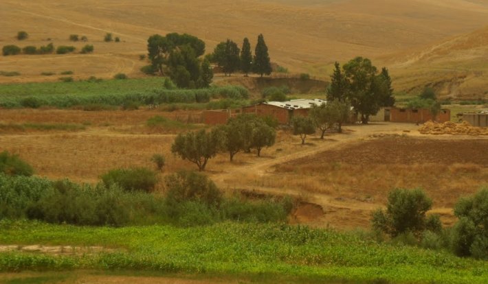 Album photo Laqsir