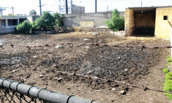 Lancement du processus de rénovation du zoo de Aïn Sebaâ