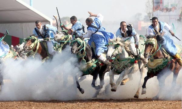 Le Salon du cheval d'El Jadida, un évènement aux multiples dimensions