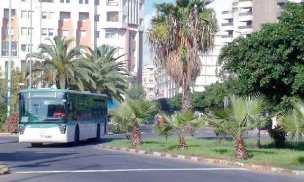 Mohammedia a mal de son transport public