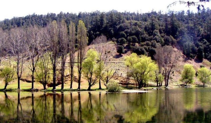 Journée mondiale des zones humides : Ensemble pour réussir le PAG du Val d'Ifrane