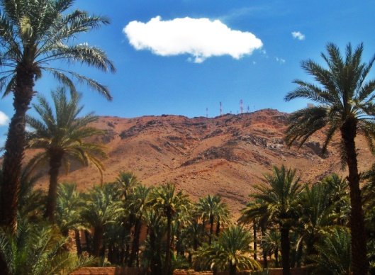 La démocratie participative au cœur d'un séminaire international à Zagora
