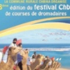 Clôture du Festival de Chbika : Une édition en deçà des attentes du public