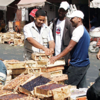 Des dattes variées,  mais chères