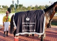 Hippisme : Le cheval Mayar remporte le GP Feu SM Mohammed V