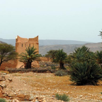 Assa, Provinces du Sud : Ksar Assa candidat au prix Aga Khan  de l’architecture, Mohamed Laabid, aujourdhui.ma