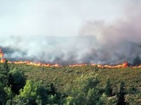 Béni Hezmar, Incendie de forêt près de Tétouan, Libération