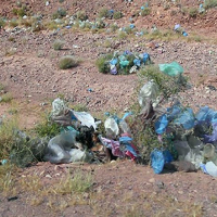 Campagne de collecte et destruction à Berkane