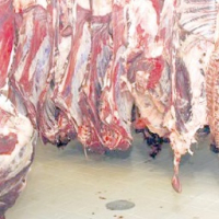 Importante saisie de viande avariée à Berrechid