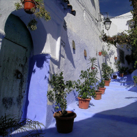Le paradis bleu de la médina de Chefchaouen au Maroc