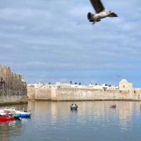 El-Jadida, Un programme dédié aux enfants, Le Matin