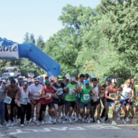Sur les pas du Marathon international des cèdres 