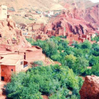 Kalaat M&#039;gouna, Kalâa M&#039;Gouna fête ses roses, Le Matin