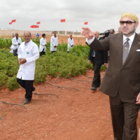 Madagh, S.M. le Roi inaugure la première tranche de l’Agropole de Berkane relative au pôle de recherche-développement et de contrôle de qualité, MAP, Le Matin