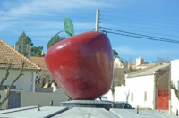Midelt, ​Le Festival de la pomme , une opportunité pour promouvoir la filière, Libération