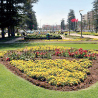 L'euphorie des achats gagne la cité des fleurs