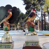 Oued Zem, Concours national de chant du chardonneret, Le Matin
