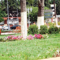 Settat, Place aux espaces verts !, Le Matin