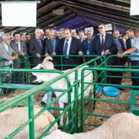 Sidi Hammadi, Le Salon international de développement de l&#039;élevage Tadla-Azilal prône les retombées de l&#039;élevage, Hakim Bahechar, aujourdhui.ma
