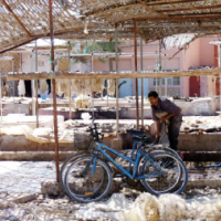 Taroudant, La ville a le cuir dans la peau, Samir Benmalek, Le Matin