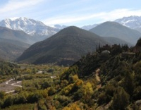 Feu de forêt à El Haouz
