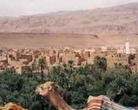 Zagora accueille le 2ème Forum international des oasis