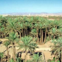 Pour un week-end prolongé à Zagora