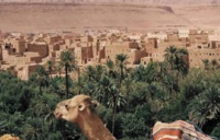 Zagora, ​Le troisième Forum international des oasis s&#039;attaque à l&#039;agriculture familiale, Mustapha Elouizi, Libération
