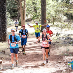 Marathon international des cèdres