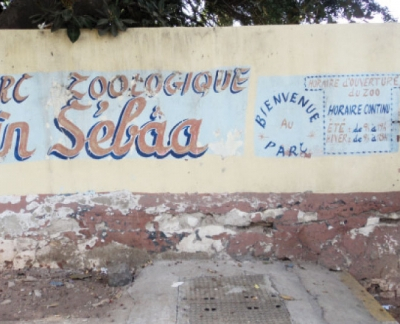 Au secours des animaux du zoo