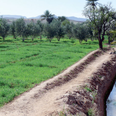 Un projet pilote voit le jour à Souss-Massa-Drâa