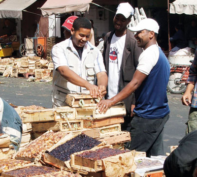 Des dattes variées,  mais chères