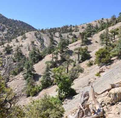Plus de 300 bénéficiaires d'une caravane médicale