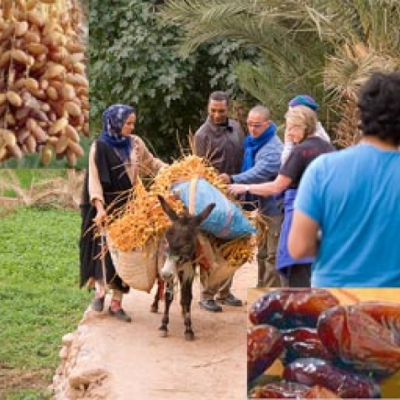 Production prévisionnelle record de dattes 