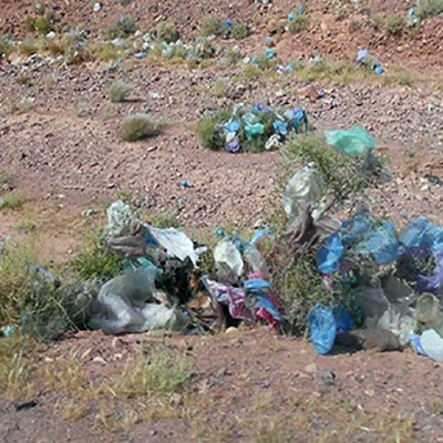 Campagne de collecte et destruction à Berkane