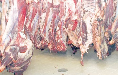 Importante saisie de viande avariée à Berrechid