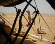 La «Nagouda», une spécialité culinaire des Béni Guil