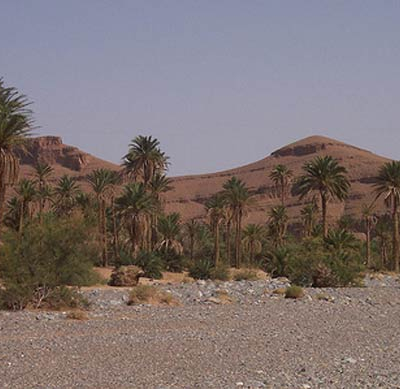Levée de rideau de la première édition du Festival des cultures