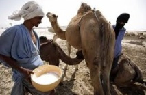 تتويج وادي الذهب-لكويرة