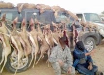 حراس محمية صفية يتعرضون لتهديدات بالقتل من قبل صيادين غير قانونيين