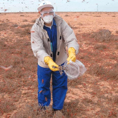Interventions réussies dans la localité de Lhmam
