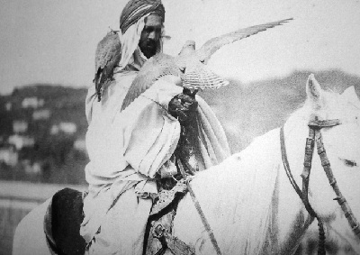 Exposition : “La fauconnerie, patrimoine universel et tradition ancestrale locale” 