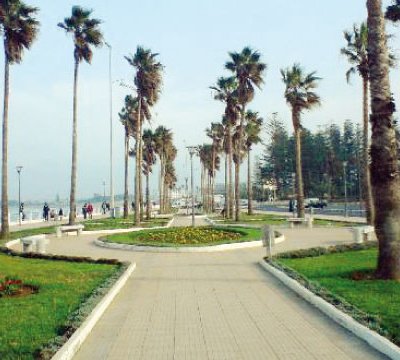 الجديدة تتبنى التوجه الأخضر