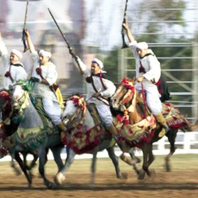 معرض تحت شعار سياحة الفروسية