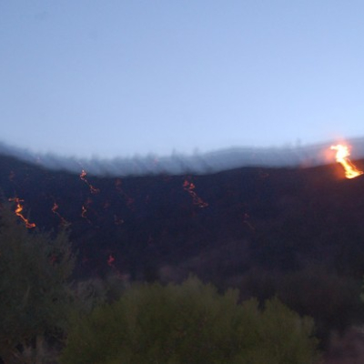 Un incendie de forêt ravage plus de 40 hectares
