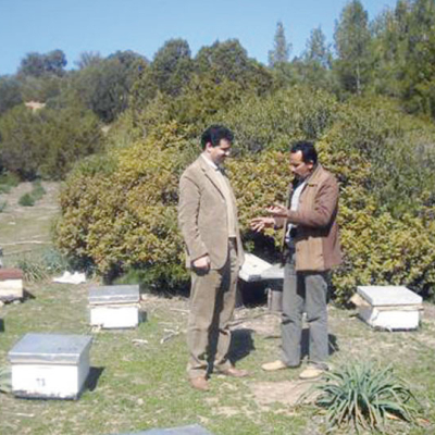 À la recherche d’un nouveau souffle pour l’apiculture